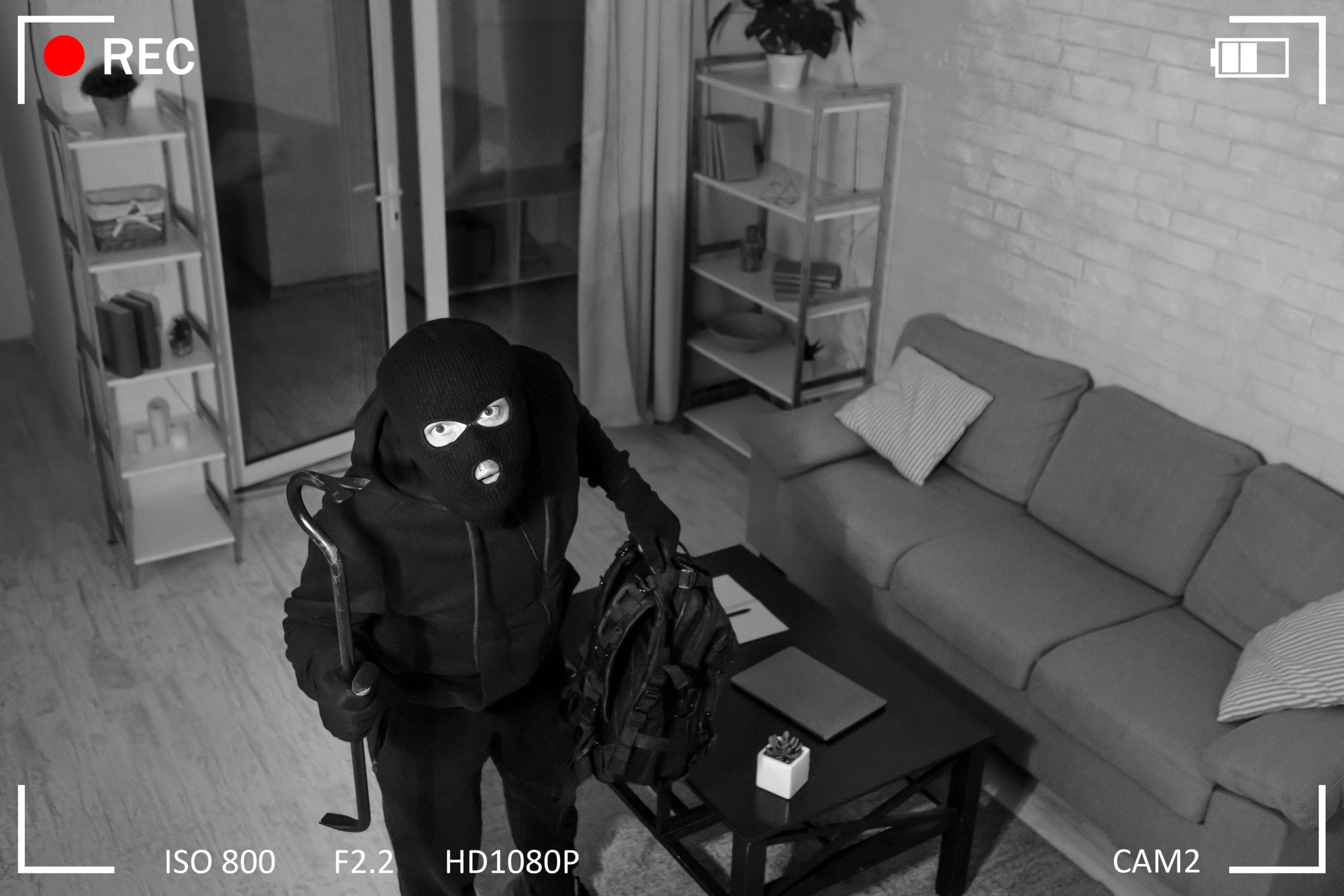 Videoüberwachung mit Kameratechnik in Geesthacht